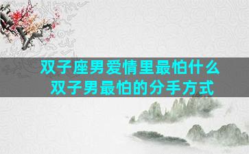 双子座男爱情里最怕什么 双子男最怕的分手方式